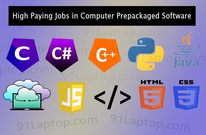 Best Paying Jobs in Computer Software Prepackaged Software